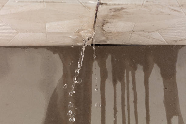 Professional Burst Pipe Cleanup technician working in Cedarpines Park, CA